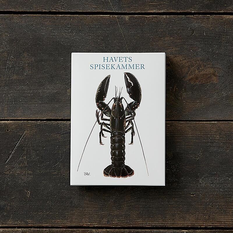 Poatcards- El mar- 8 Cartas y 8 Sobres - Fabricado en Europa