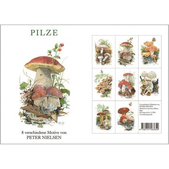 Pilze - 8 cartes (allemand) Cartes postales 2