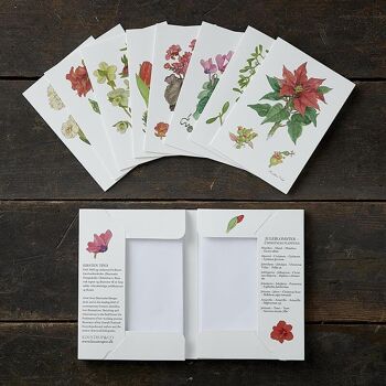 Fleurs de Noël - 8 cartes avec enveloppes - Fabriqué en Europe 3