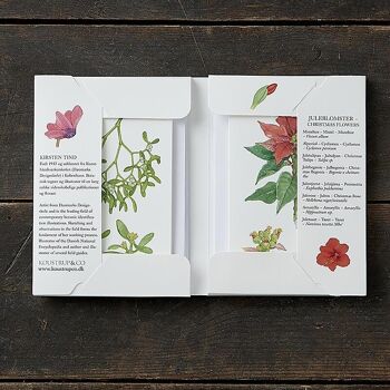 Fleurs de Noël - 8 cartes avec enveloppes - Fabriqué en Europe 4