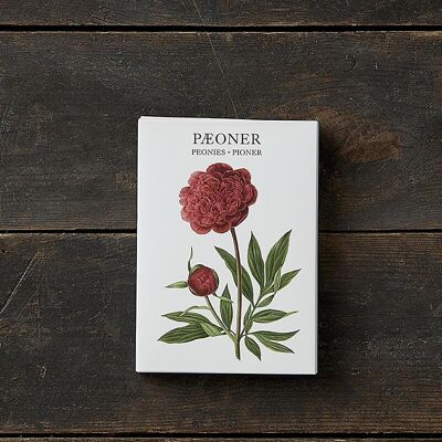 Peonies - 8 cards w/ 8 envelopes- made in Europe