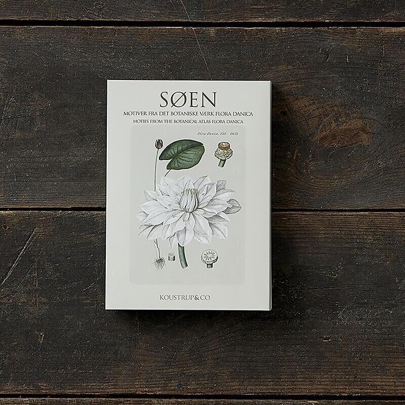 EL LAGO - FD - 8 TARJETAS