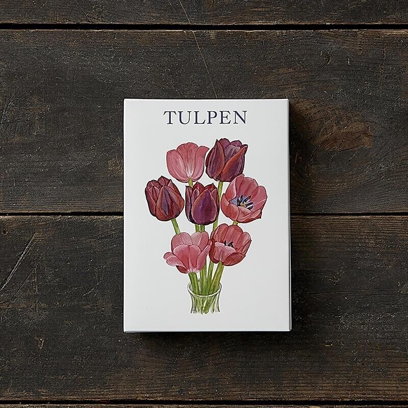 Tulpen - 8 cards (german)