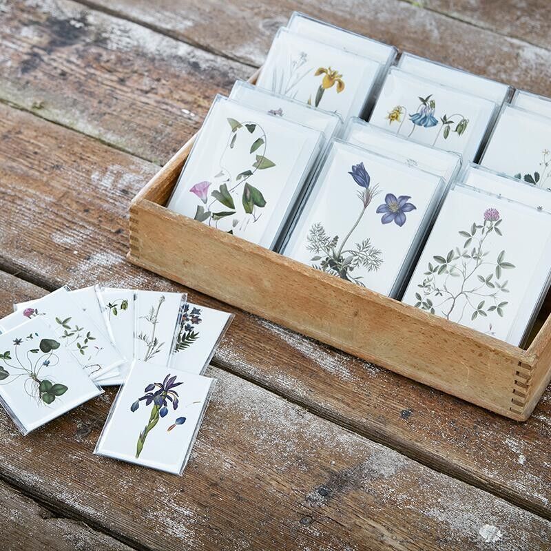 MINI TARJETA - DEL ATLAS BOTÁNICO FLORA DANICA