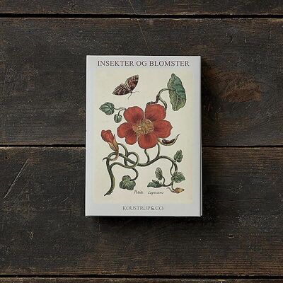 Flores e insectos - 8 tarjetas con sobres, Fabricado en Europa