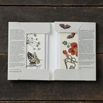 Fleurs et insectes - 8 cartes avec enveloppes, Made in Europe 2