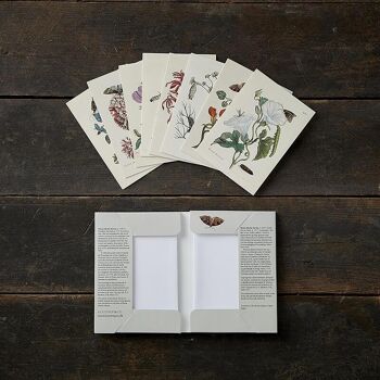 Fleurs et insectes - 8 cartes avec enveloppes, Made in Europe 3