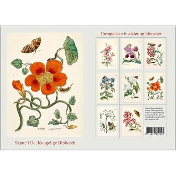 Fleurs et insectes - 8 cartes avec enveloppes, Made in Europe 5