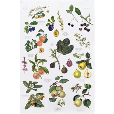 Organic tea towel - fruit