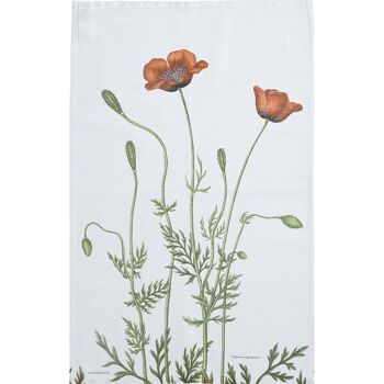 Torchon bio - Coquelicot de Barbarie 1