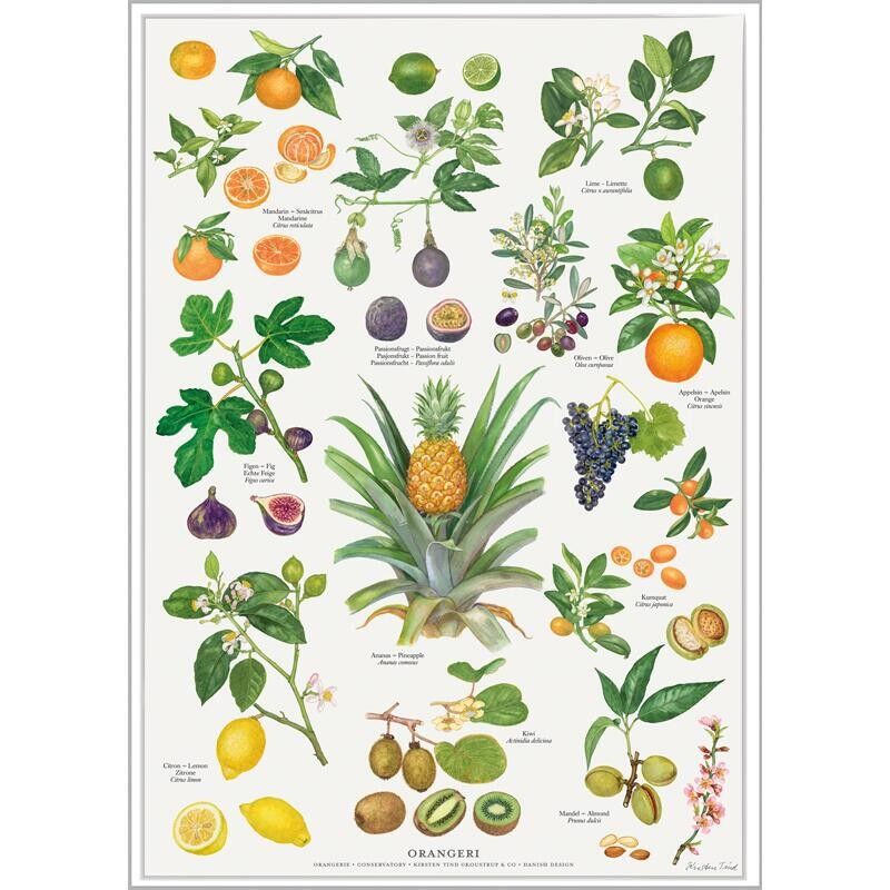 Wintergarten - POSTER A2