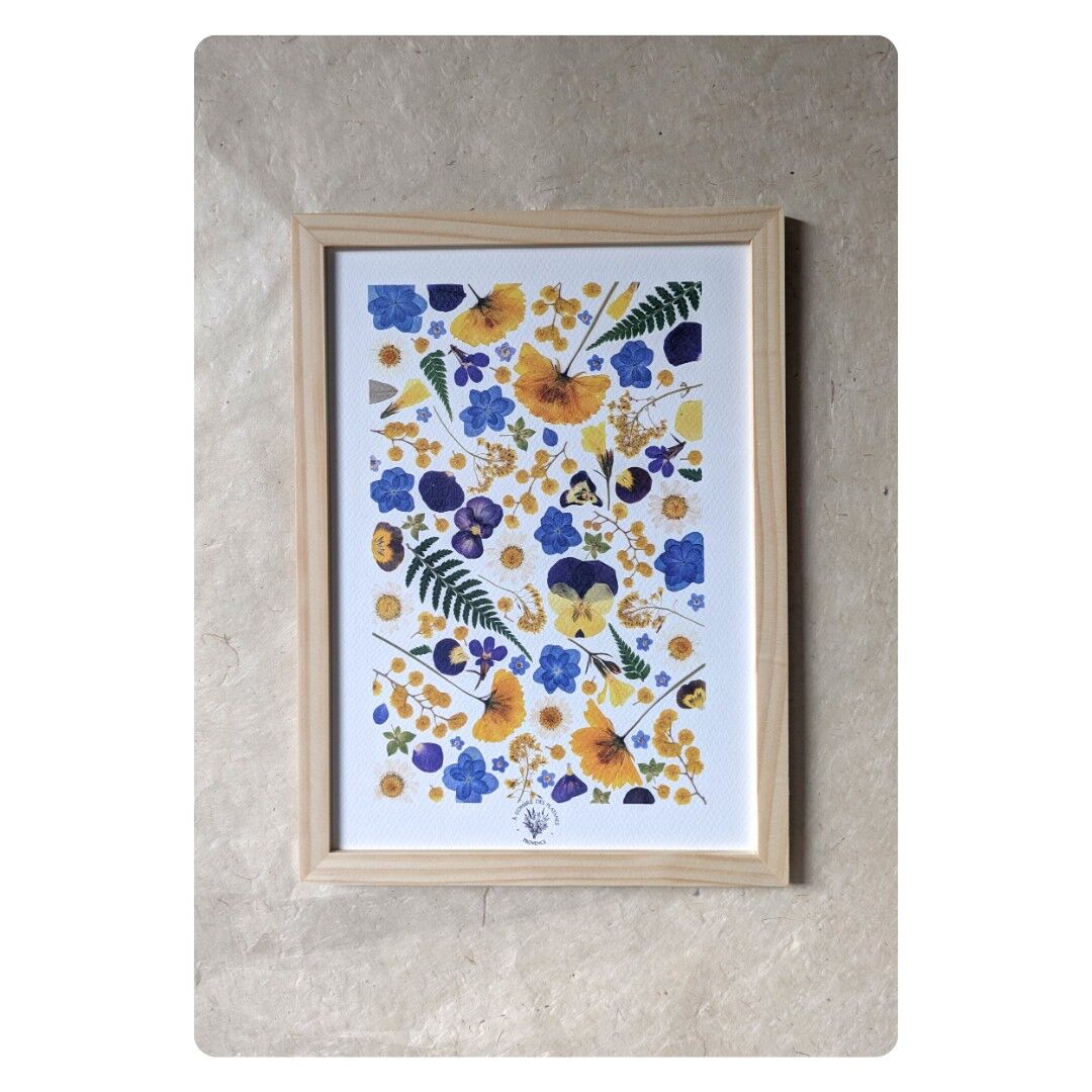 LIVIA Erbario di fiori pressati