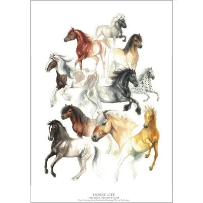 Horse life - poster a2