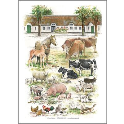 Farm animals (gårdens dyr) - poster a2
