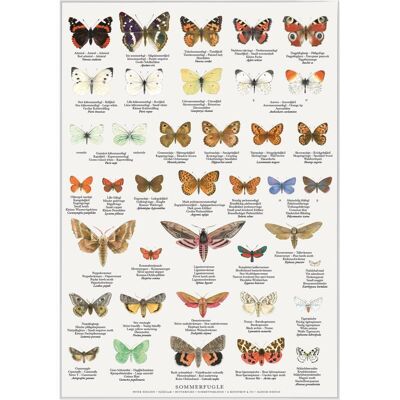 Butterflies (sommerfugle) - poster a2