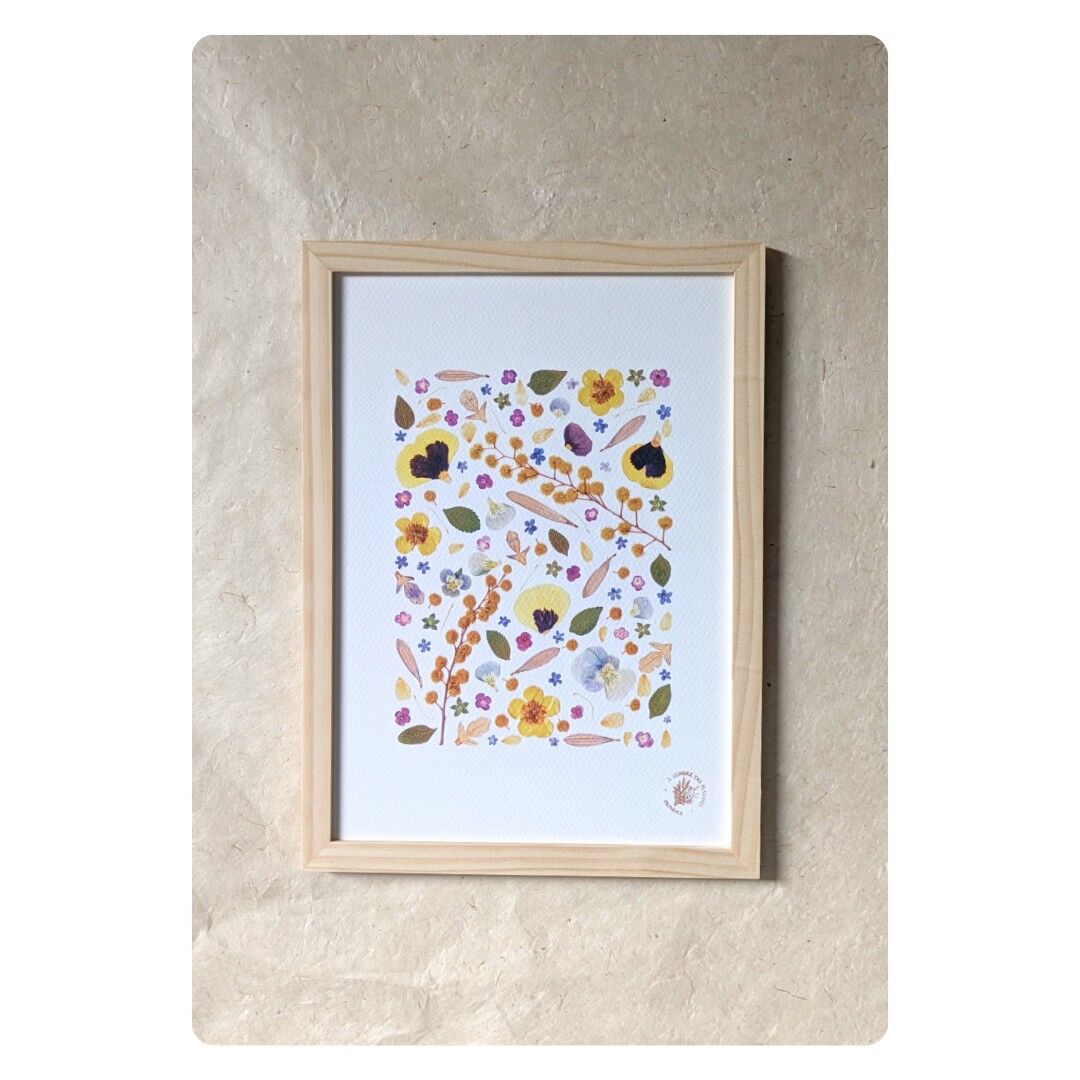 SUZANNE Erbario di fiori pressati