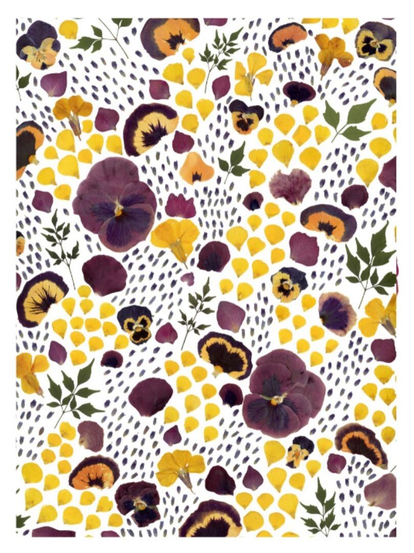 Stampa artistica - Erbario scintillante - A4 e A3