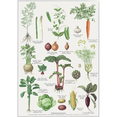 Kitchengarden (køkkenhaven) - poster a2