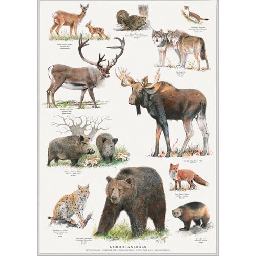 Nordic animals (nordiske dyr) - poster a2