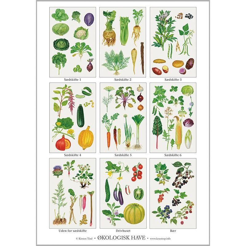 BIO VEG PATCH ZIRKULATION (ØKOLOGISK HAVE) - PLAKAT A2