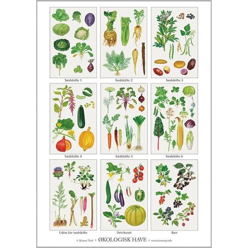 Organic veg patch circulation (økologisk have) - poster a2