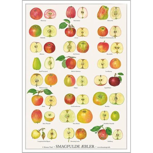 Tasty apples (smagfulde æbler) - poster a2