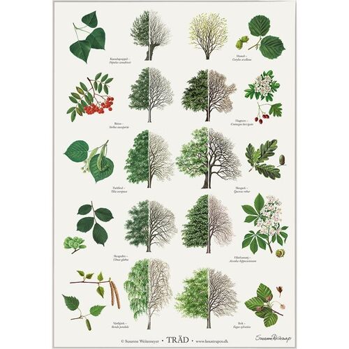 Trees - poster a2 (swedish)