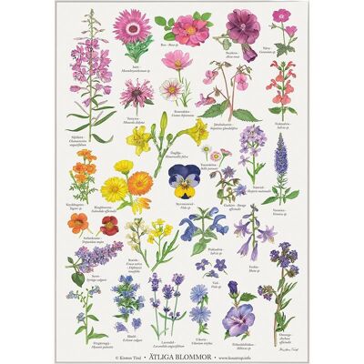 ÄTLIGA BLOMMOR - PLAKAT A2