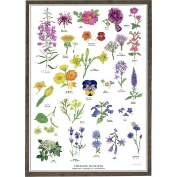 FLEURS COMESTIBLES A3 (29,7 x 43 cm) 1