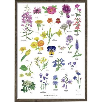 FLEURS COMESTIBLES B2 (50 x 70 cm) 3