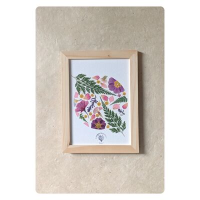 Herbier de fleurs pressées LEONIE
