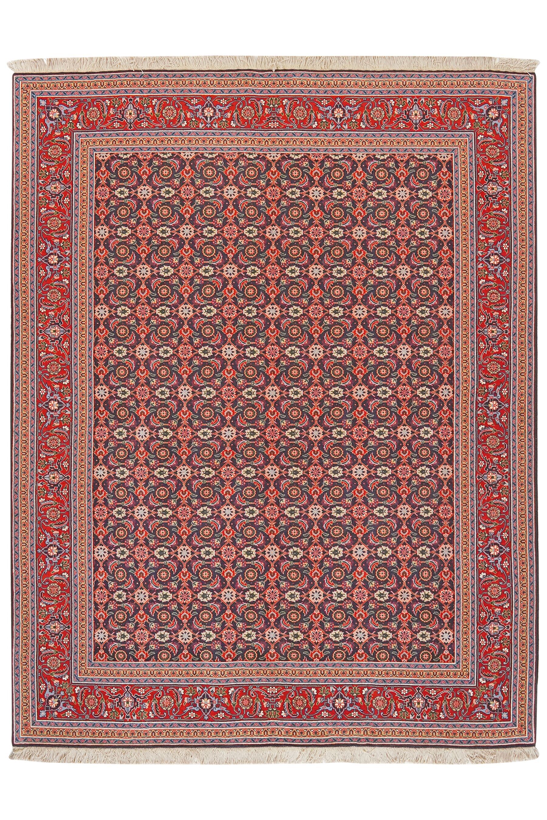 Tabriz 50° anniversario