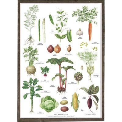 KITCHENGARDEN B2 (50 x 70 cm)