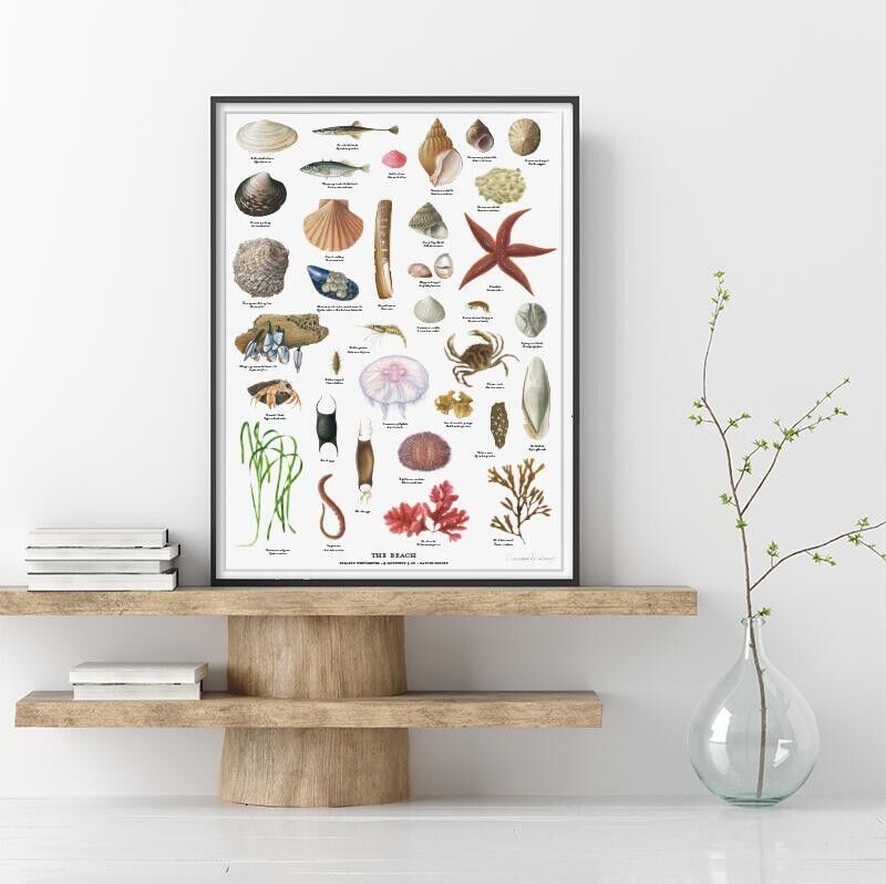 LA SPIAGGIA B1 (70,7 x 100 cm)