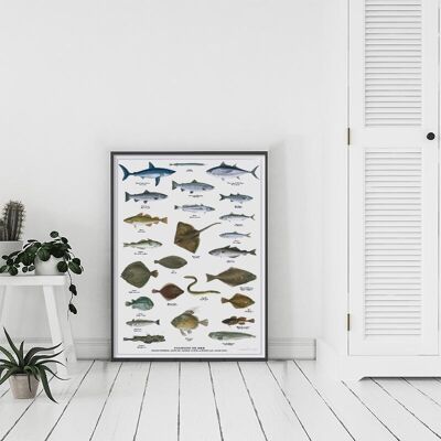 SEA FISH B2 (50 x 70 cm)