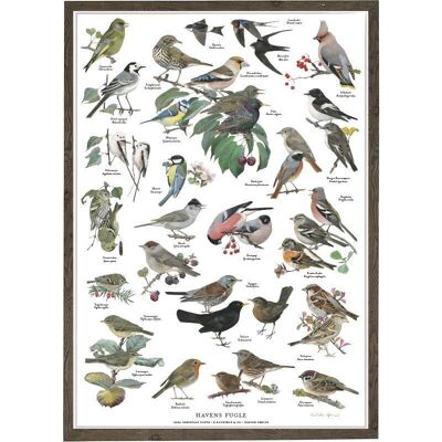 GARDEN BIRDS A4 (21 x 29.7 cm)