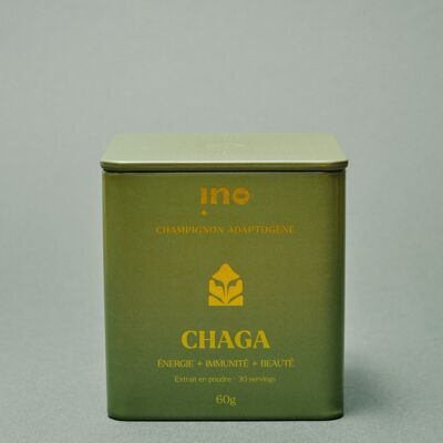 Chaga: el hongo energético