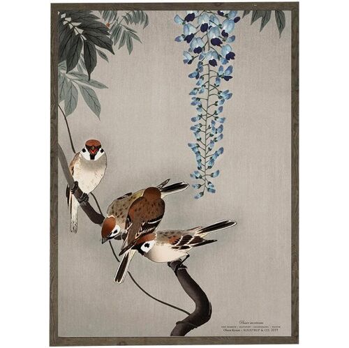 Art print A4 - Tree sparrow (21 x 29.7 cm)