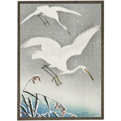 Art print A4 - White Heron (21 x 29.7 cm)