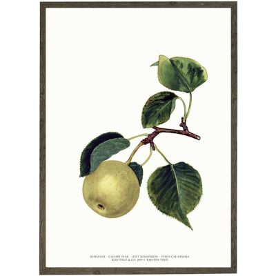 Art print A4 - Pear (21 x 29.7 cm)