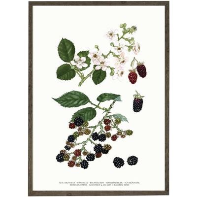 Art print A4 - Brambles (21 x 29.7 cm)