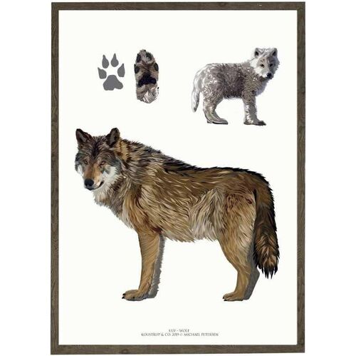 Art print A4 - Wolf (21 x 29.7 cm)