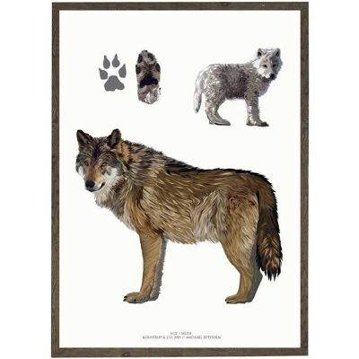 Kunstdruck A4 - Wolf (21 x 29,7 cm)