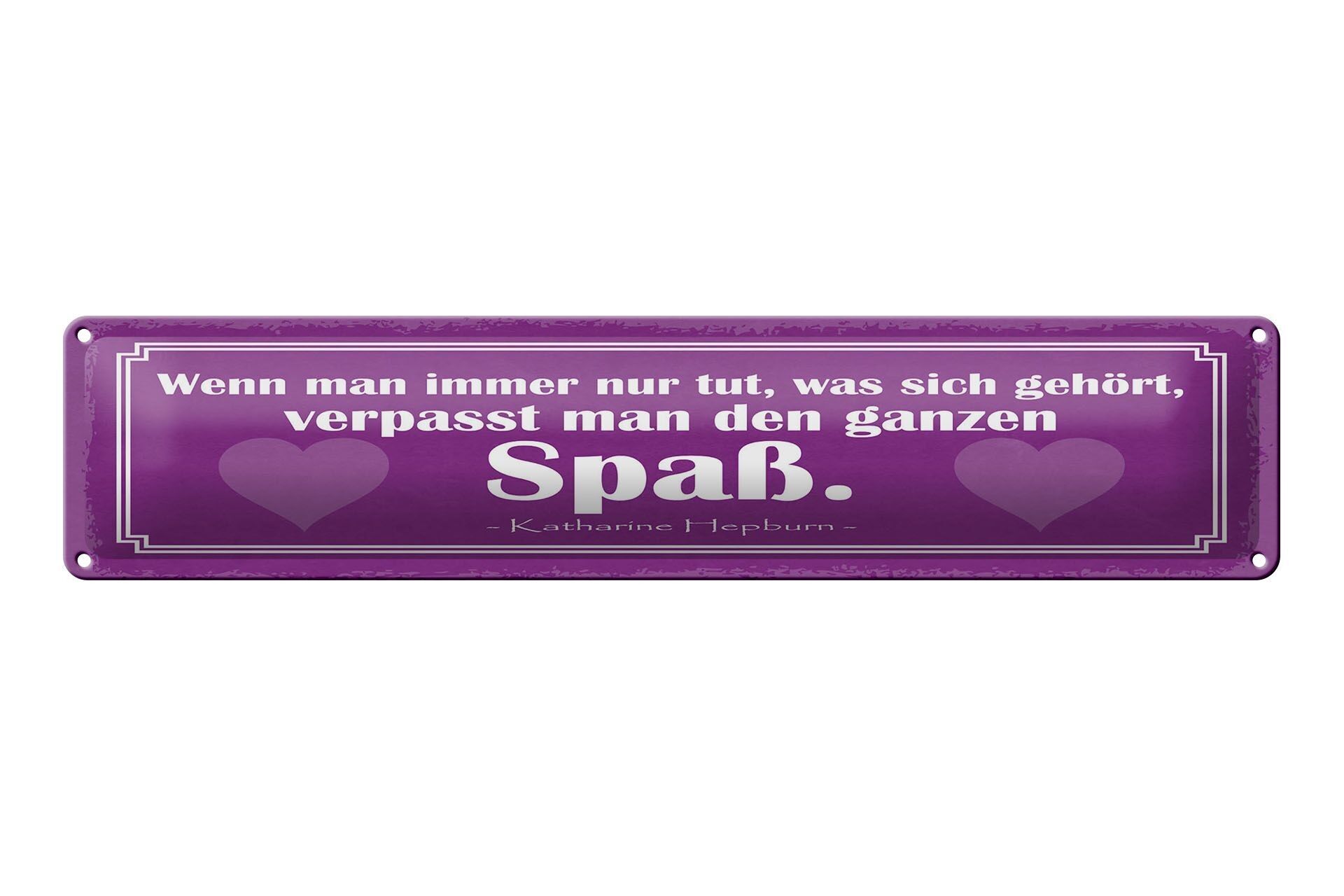 Blechschild Zitat 46x10 cm verpasst man den ganzen Spaß Schild
