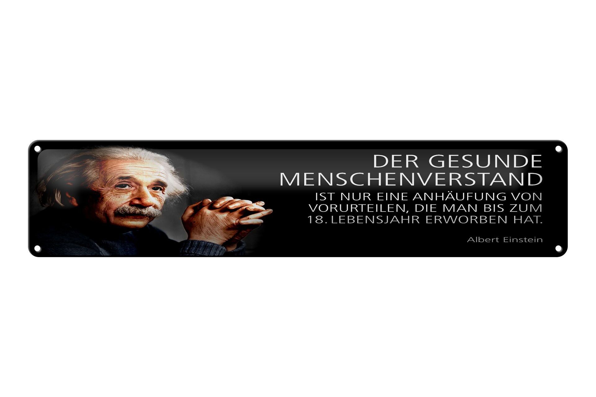 Blechschild Einstein Zitat 46x10 cm Der gesunde Menschenverstand Schild