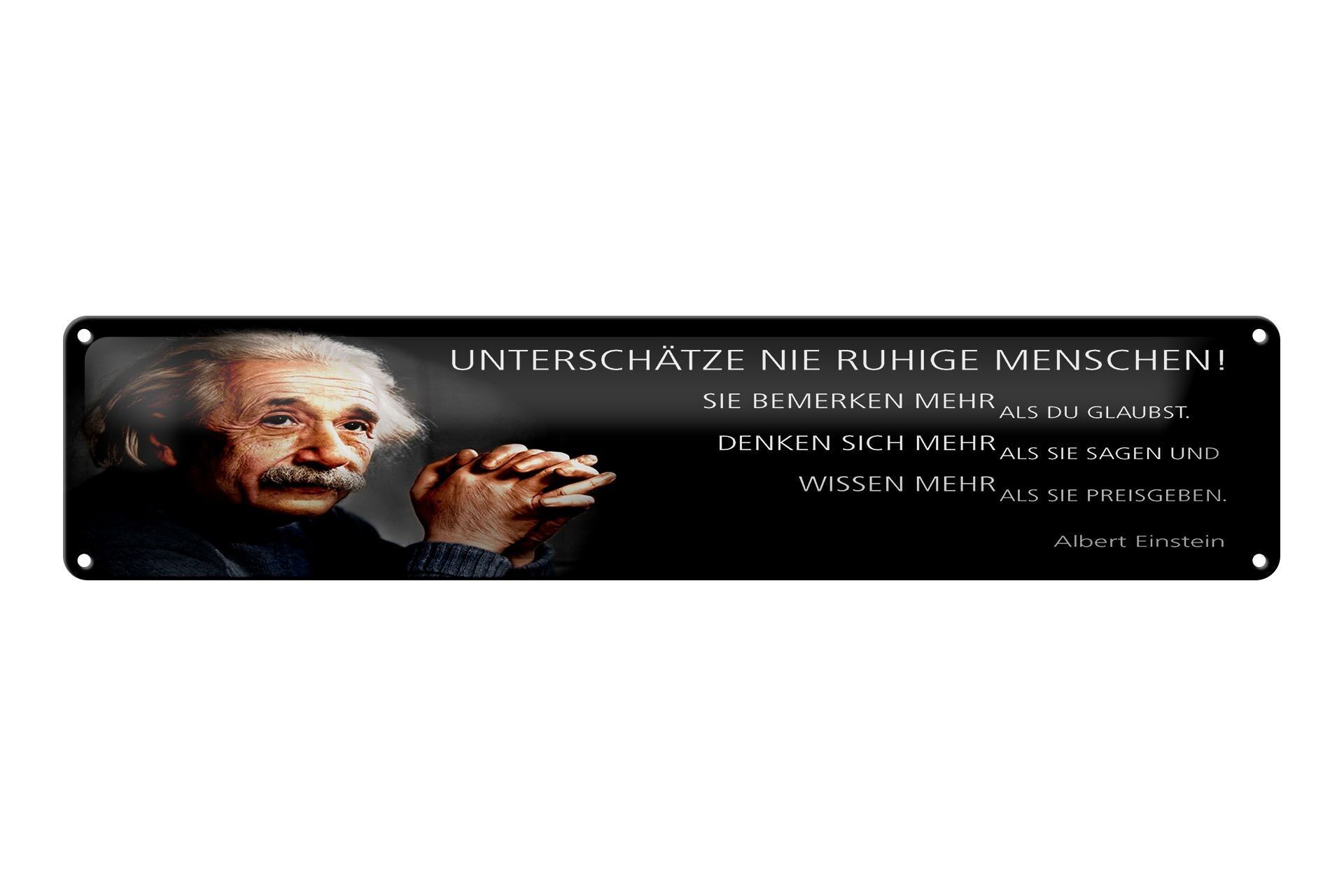Tin Sign Einstein Quote 46x10 cm Never underestimate quiet people