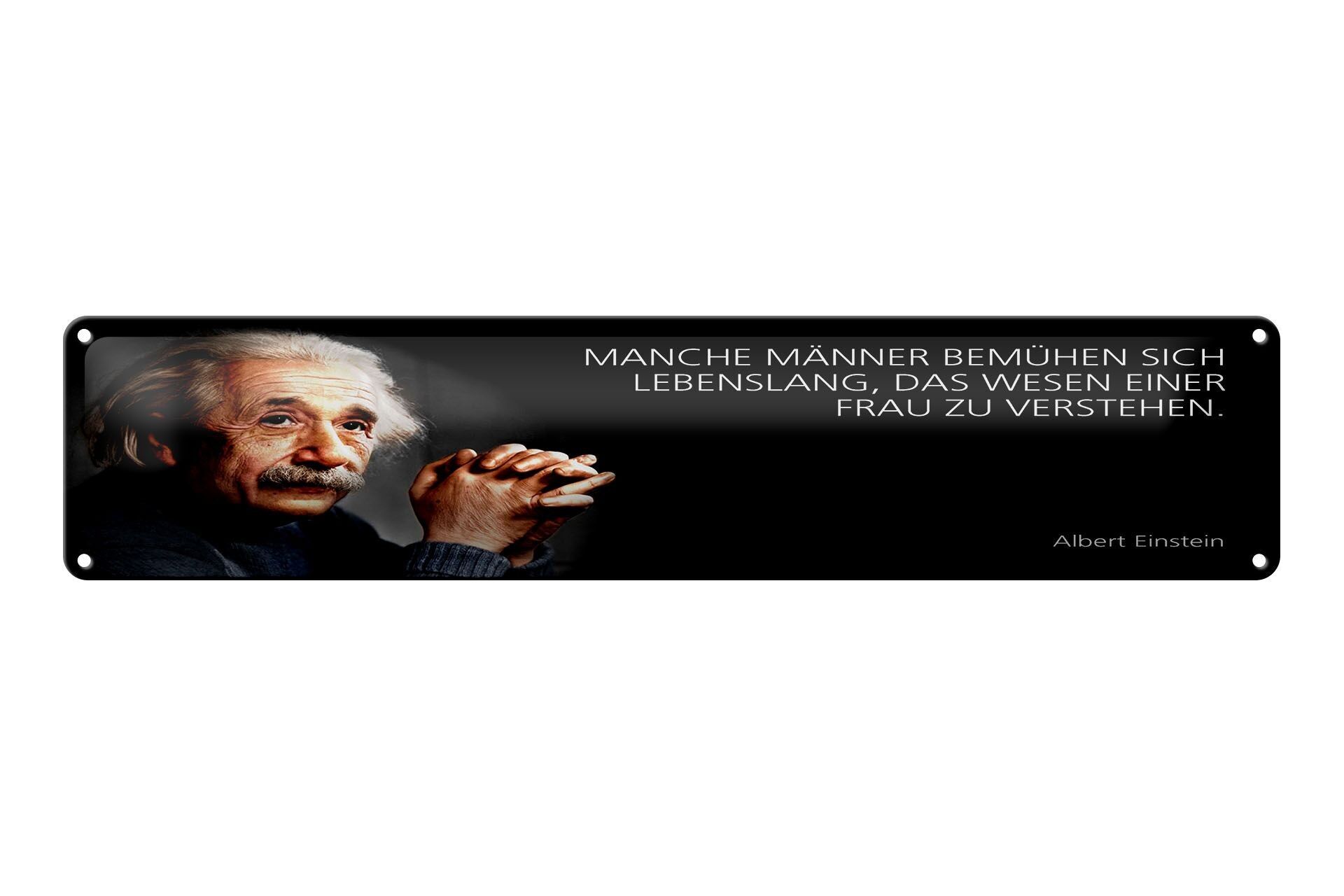 Blechschild Einstein Zitat 46x10 cm Manche Männer bemühen sich lebenslang