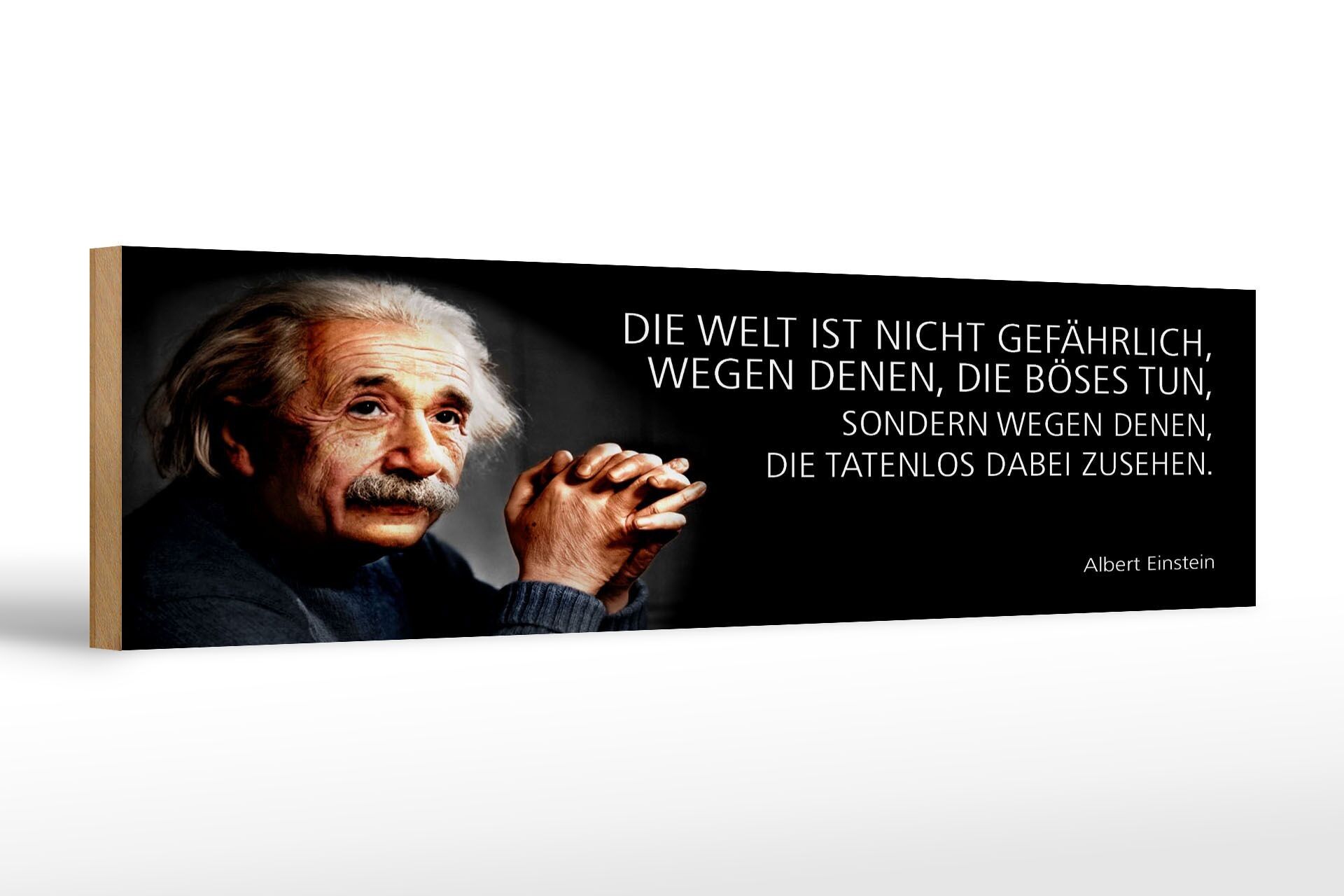 Cartello in legno Citazione di Einstein 46x10 cm Il mondo non è un cartello pericoloso