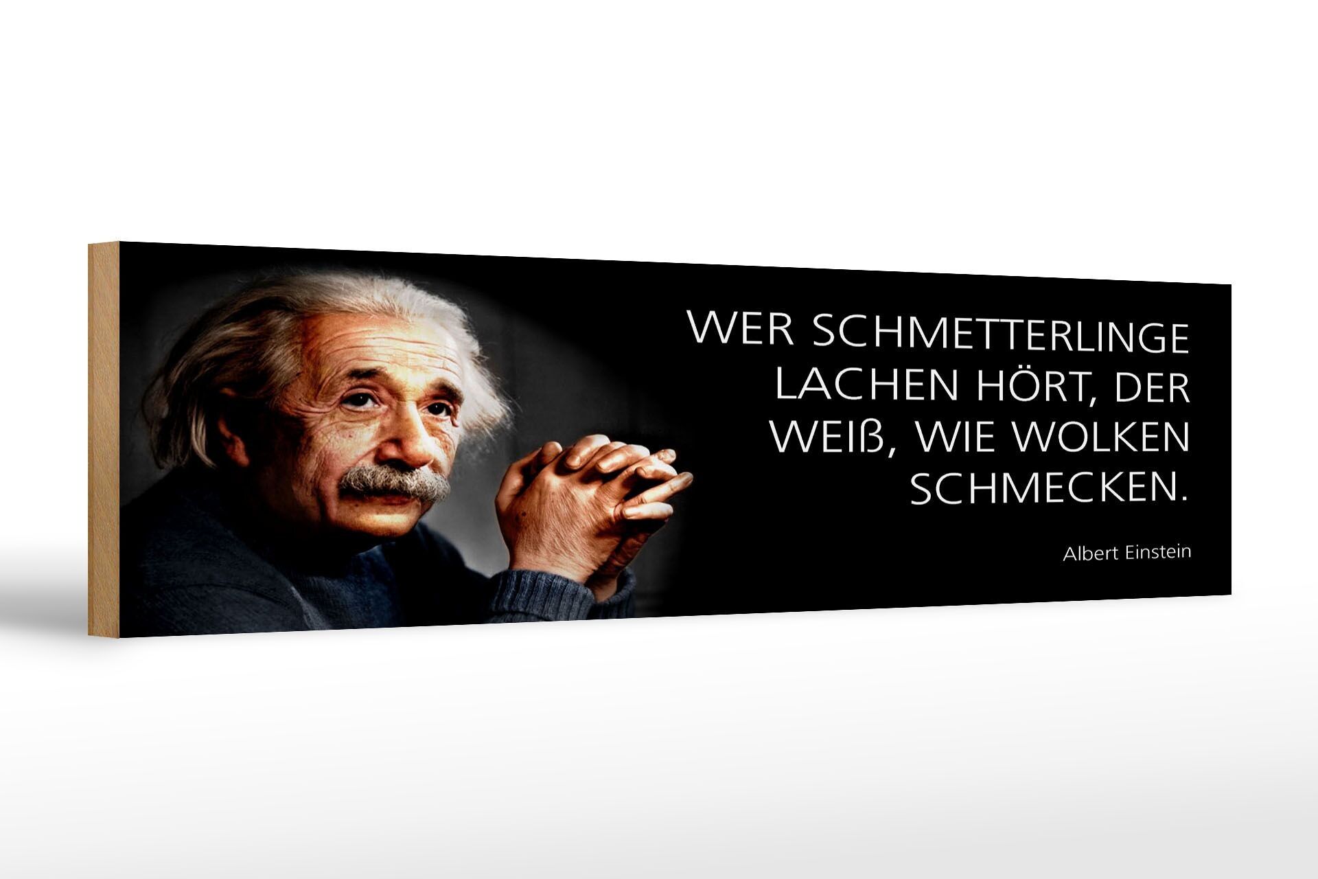 Holzschild Einstein Zitat 46x10 cm Wer Schmetterlinge lachen hört Schild