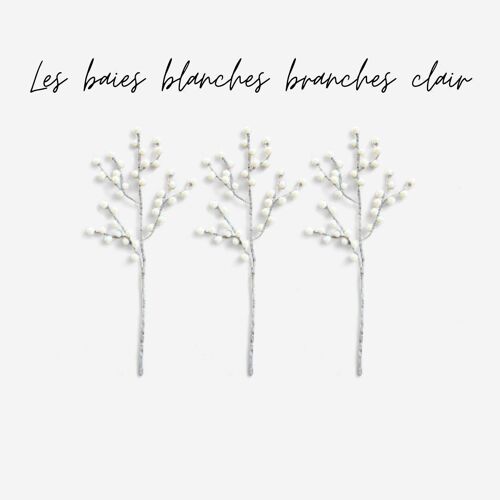 Lot de 6 branches claires de baies blanches en feutrine